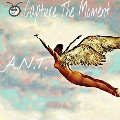 A.N.T. - Capture The Moment
