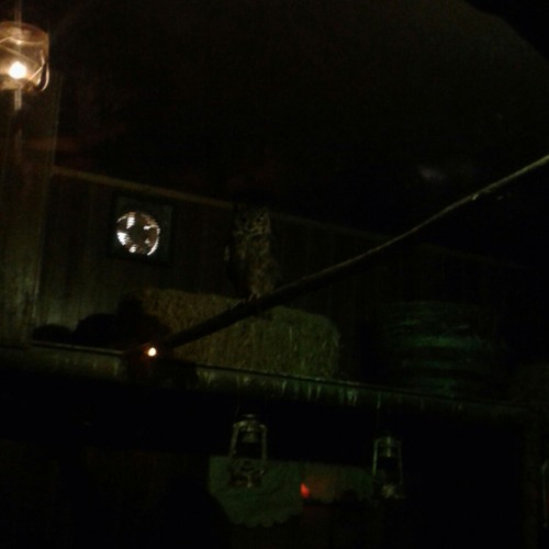 Poligon Window(Aphex twin)- SomewhereOTTGTBAG