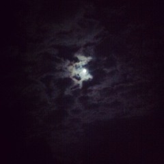 Für Und Von - Feed The Crows