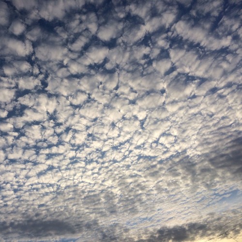 clouded