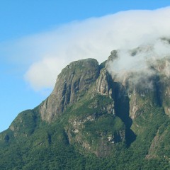 O Presente- Aqui e Agora