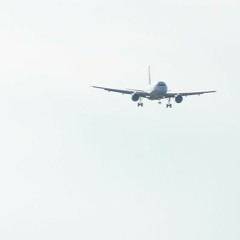 Михаил Федотов: Елизавета Глинка