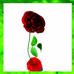 ANGUSRAZE - INTERFACE OVERLOAD