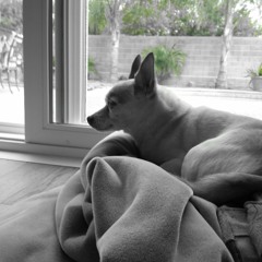 Silent Nights (for Keeper)