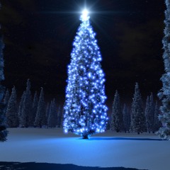 TRADITIONS [XMAS FREE DOWNLOAD 2016]