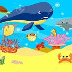 Hooks And Lines - Remastered