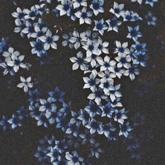 Rap/pop/oldies/etc
