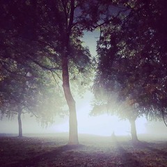 Rock Bottom (No vocals)