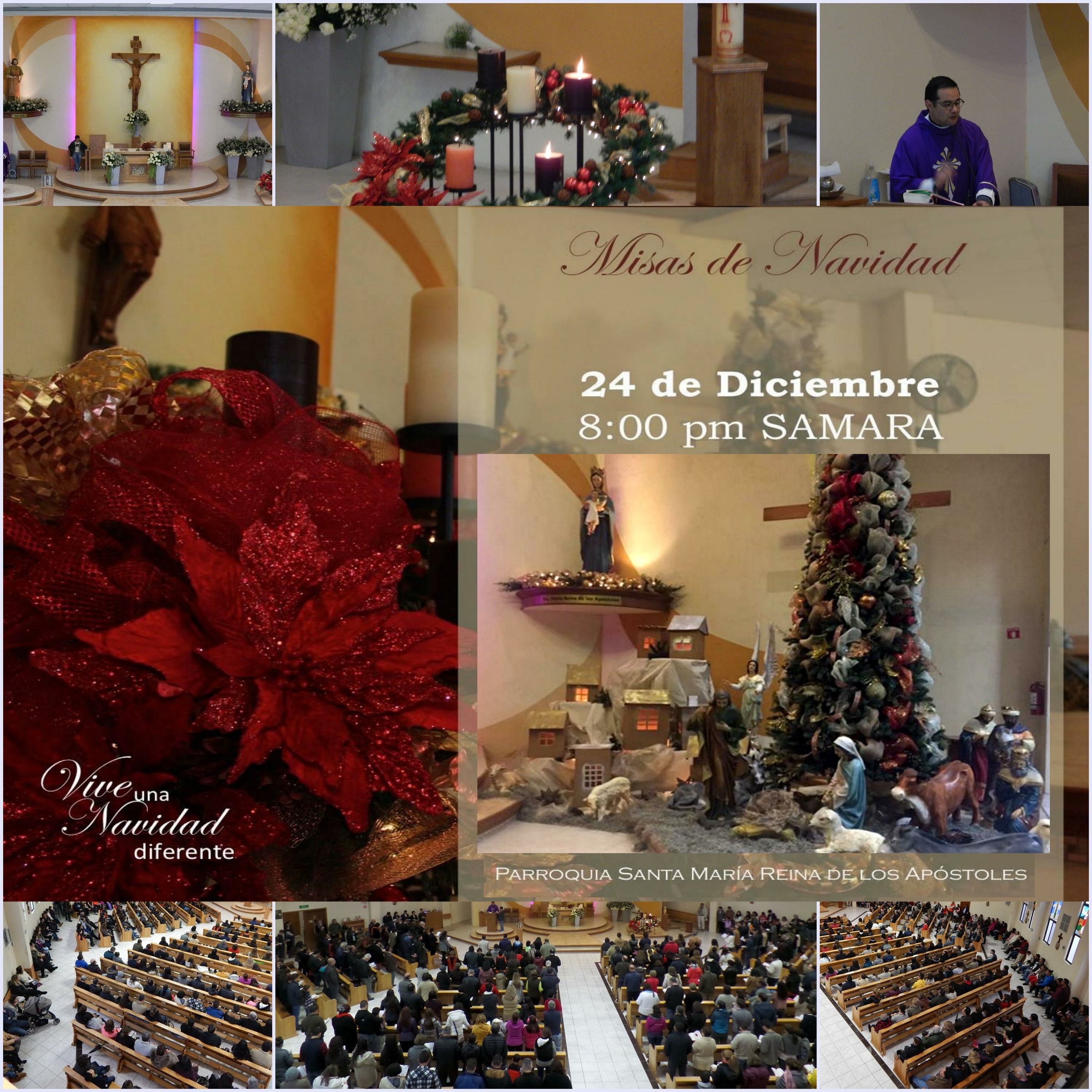 SAMARA_Saltillo #2019