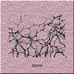 RED (with PFND) [produced by PFND]