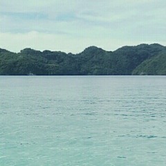 Sebadong-Palk