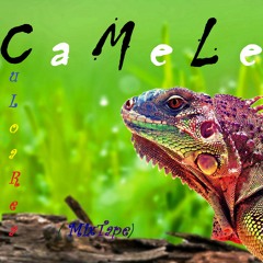 CaMeLeoN - Culoarea CaMeLeoNului (MixTape)