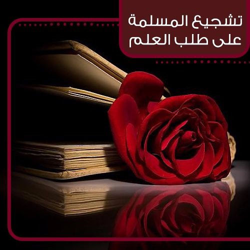 taqareer arbic
