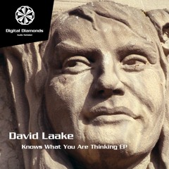David Laake - Knows What You Are Thinking [DigitalDiamonds013] | WAV download