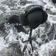 Muir Beach_Bay Area, California - Binaural  Recording