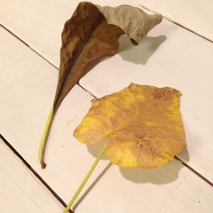 闇 Darkness - MIDI demo / Mar 2015