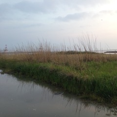 Untitled New Song - Demo / Sep 2016