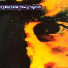 CJ Bolland - The Prophet (Simon Remix)