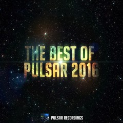 THE BEST OF PULSAR 2016