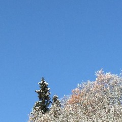 me me me -ryohadano (redesigned by jpshoji)