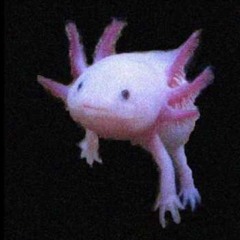 weird fishes/arpeggi (Radiohead cover)