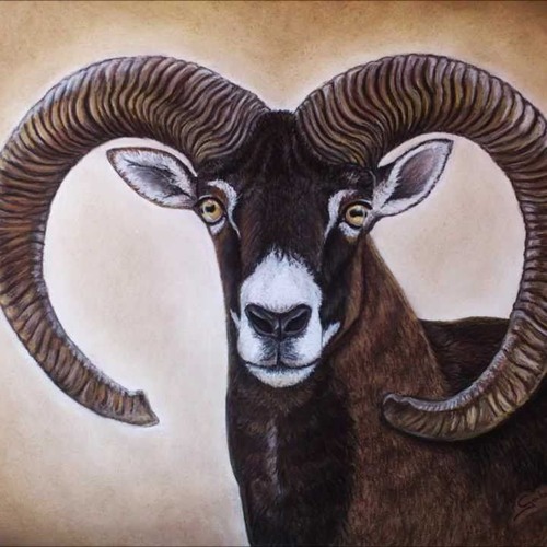 Jaime Valenti - Mufl ON