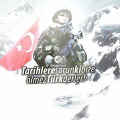 Bir kar yağar ince ince - Trap Remix  Tiger Studio [Official]