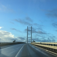 PaulReedFade(disquiet0260)