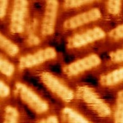 Substantial Synth Physicist