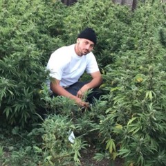 What Im Used Too x $kigh