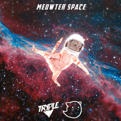Tryple & Azazal - Meowter Space