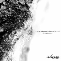 02 - Trinaural In Dub - Microvoids (Album Edit)