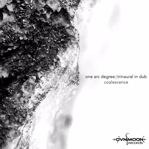 02 - Trinaural In Dub - Microvoids (Album Edit)