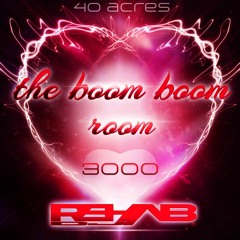 The Boom Boom Room- Dj Rehab (3000 Follower Megamix)