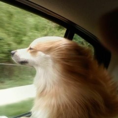 Jessica - Flores - I-Dont - Know - My - Name