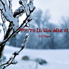 You're In The Mix II