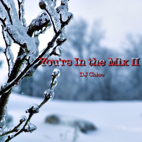 You're In The Mix II