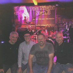 Everybody Wants You-Billy Squier