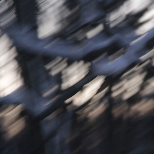 In The Wurling Halls [ disquiet0260 - tonefade ]