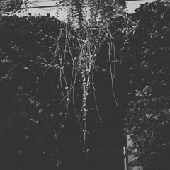 Regret (Day 300)