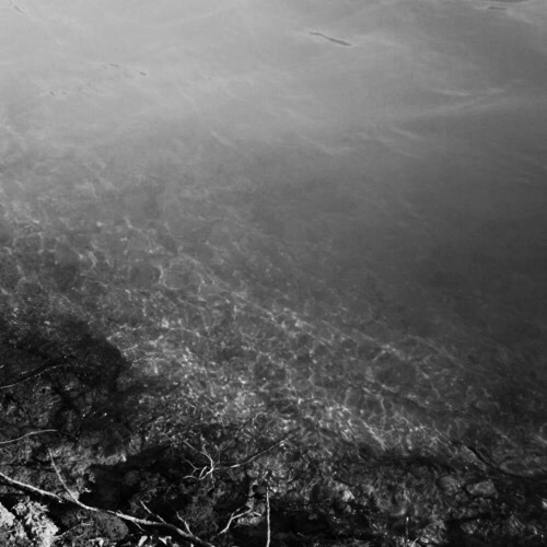 shallows. (prod. Nug$tufr)