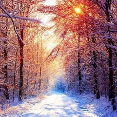 Just Music الموسيقة