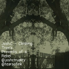 Josh Sea -Climbing Tree's