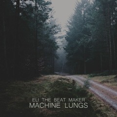 Machine Lungs