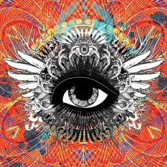 Bassnectar NYE