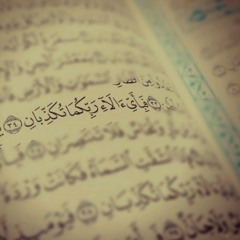 {فَبِأَيِّ آلاء رَبِّكُمَا تُكَذِّبَانِ} -إدريس أبكر-