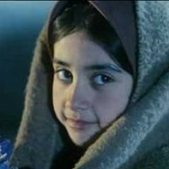 کوچه باغ های نیشابور / حجت اشرف زاده