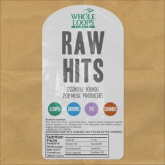 RAW HITS DEMO 1 (PROD. BY REID STEFAN)