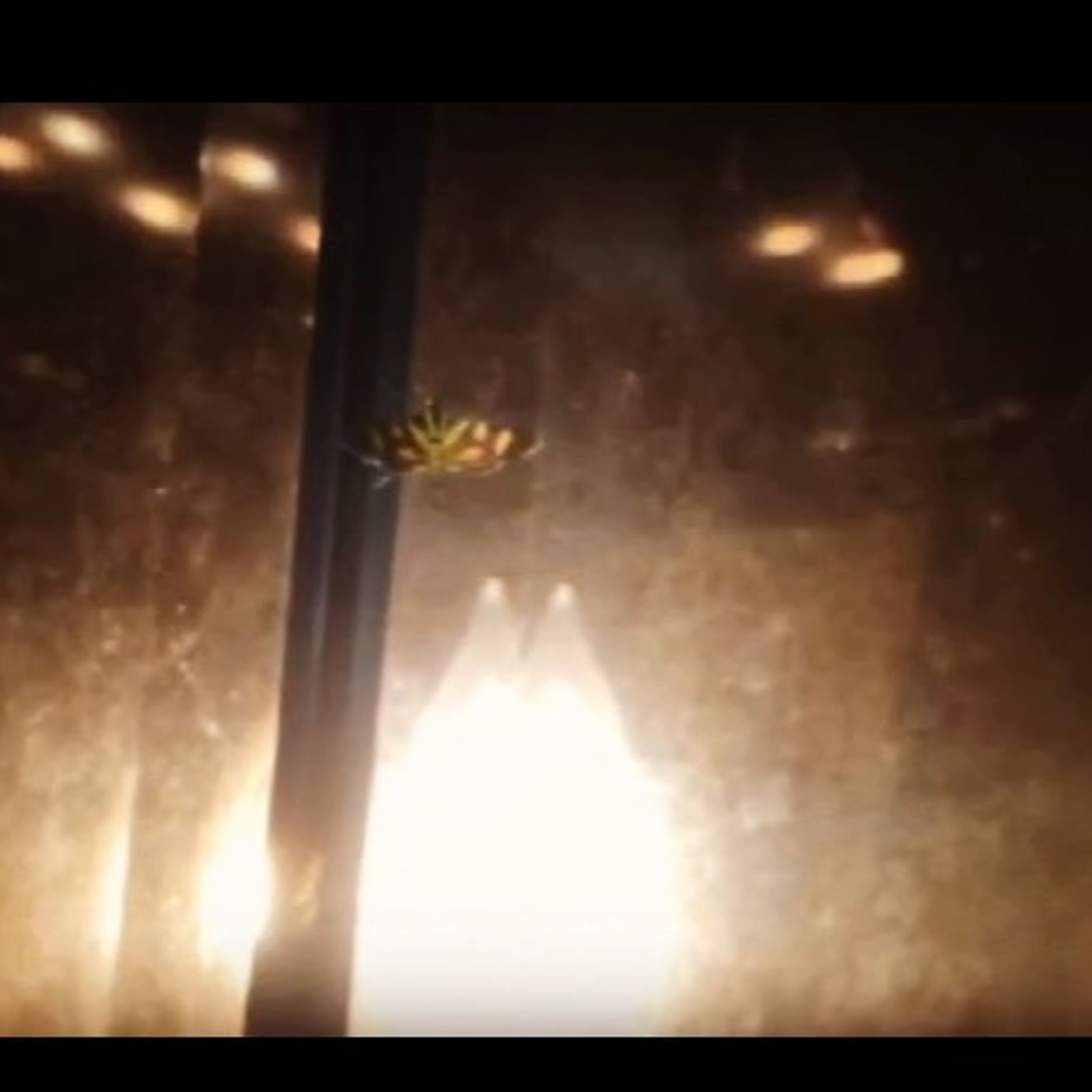 Moth To A Light episode artwork