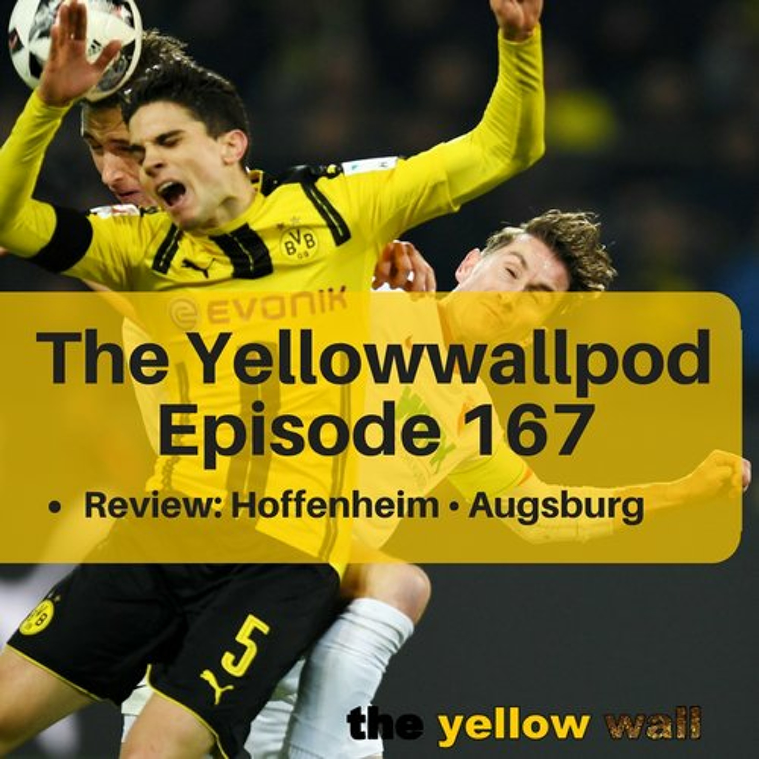 Yellowwallpod